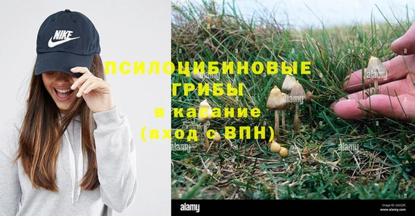 дживик Балахна