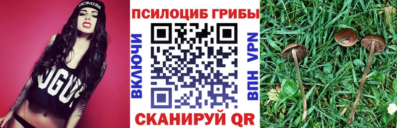 продажа наркотиков  Кувандык  блэк спрут зеркало  Псилоцибиновые грибы прущие грибы 